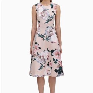 Calvin Klein women's scuba sleeveless floral dress